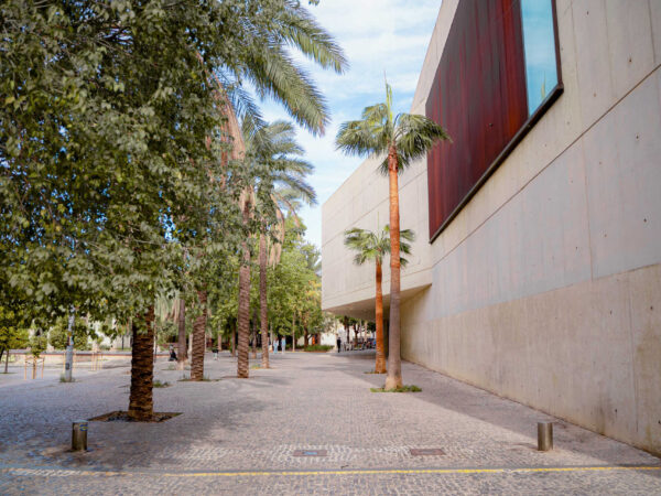 Museos imprescindibles para entender la cultura valenciana