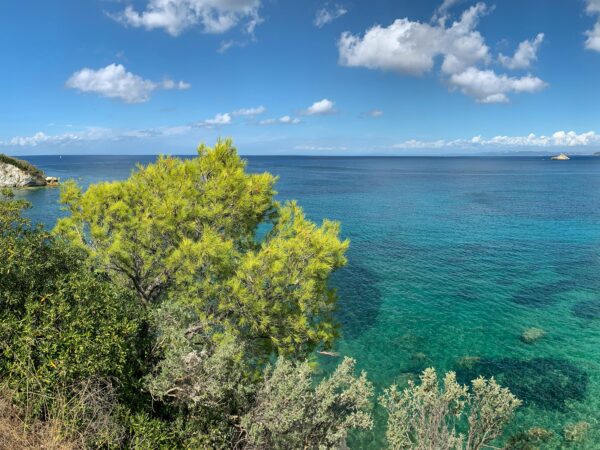 🏝️ Isla de Elba: naturaleza, historia y hospitalidad italiana
